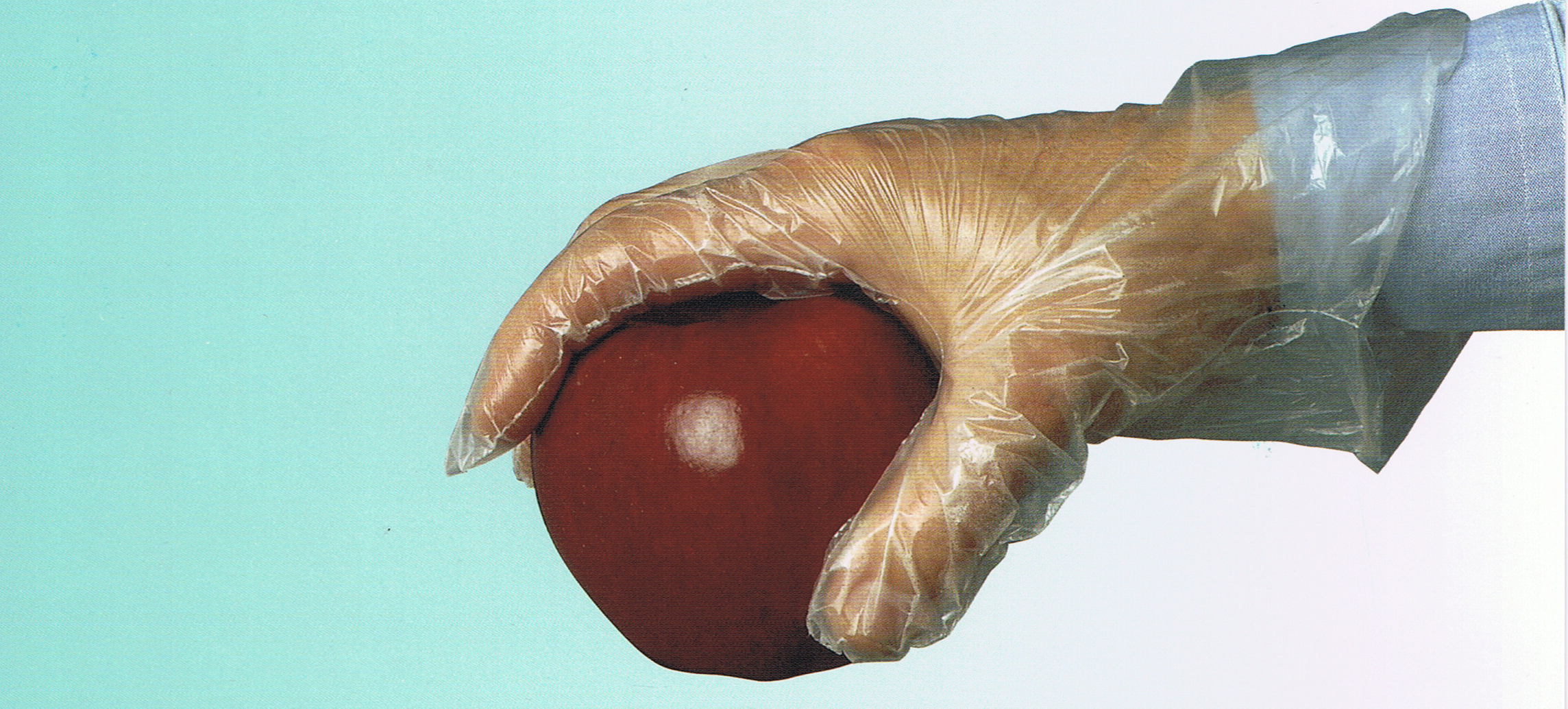 FOTO GUANTE PLASTICO FRUTA (002) – copia