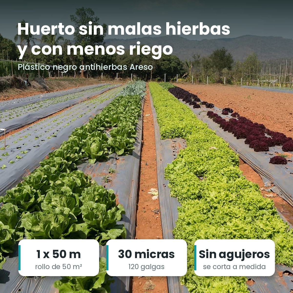 Plástico negro antihierbas Areso: rollo de 1 x 50 m, 30 micras y sin agujeros
